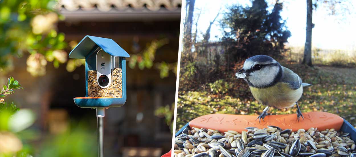 Photographiez les oiseaux de votre jardin grâce à cette mangeoire connectée