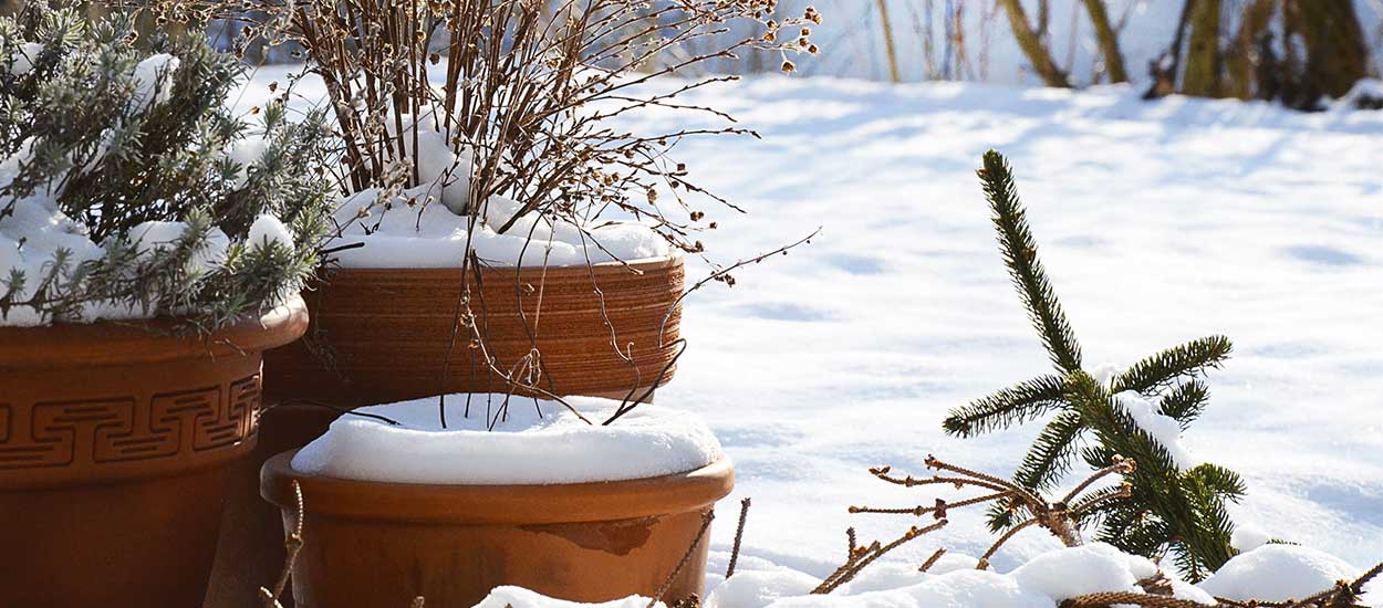 Paillage et plantation : quels sont les travaux à faire en hiver au jardin ?