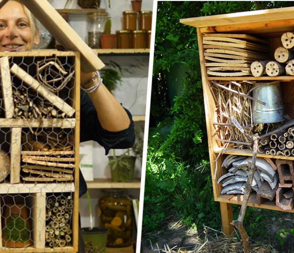 7 tutos d'hôtels à insectes à fabriquer vous-même