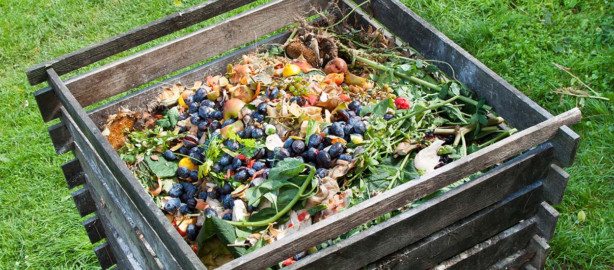 Comment réussir son compost : le guide complet