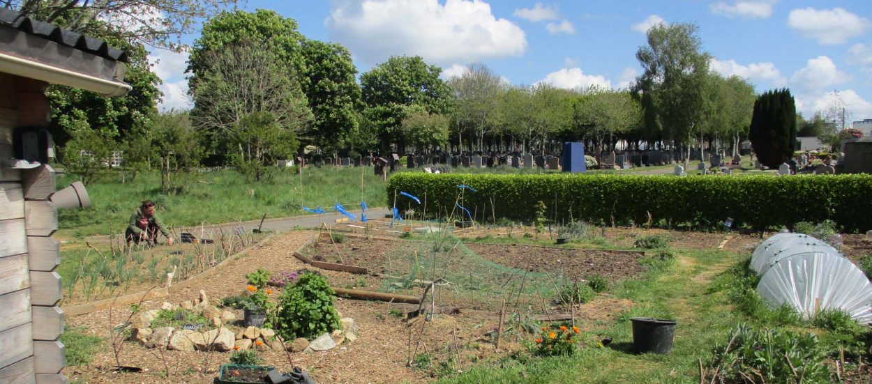 Jardin partagé : ce collectif brestois cultive dans un cimetière !