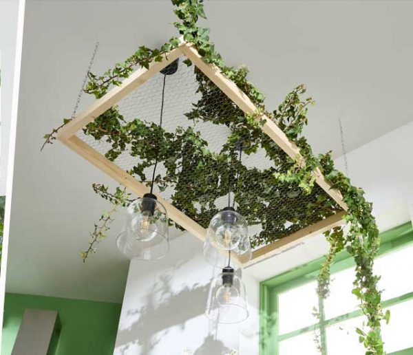Tuto : Réalisez un cadre suspendu pour y faire grimper vos plantes et végétaliser votre plafond