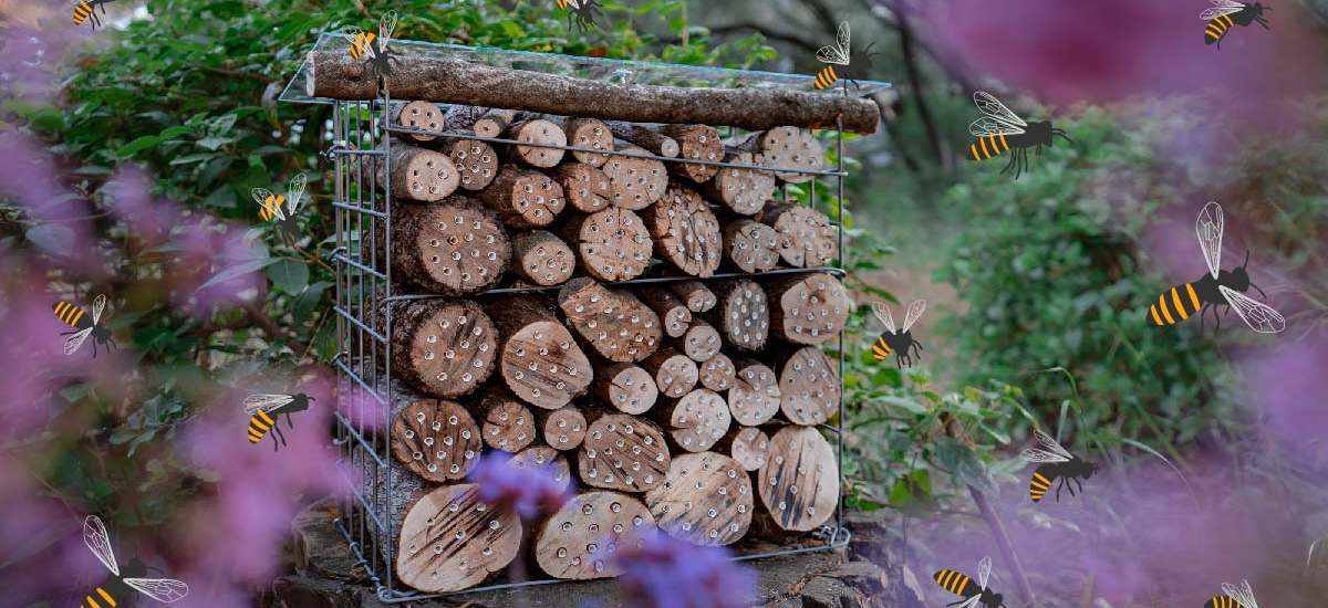 Tuto : Fabriquez un hôtel à abeilles solitaires pour favoriser la pollinisation de votre jardin