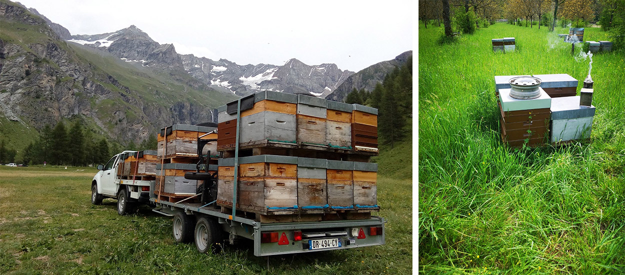 Un apiculteur se bat pour sauver 35 hectares de biodiversité bientôt transformés en bureaux