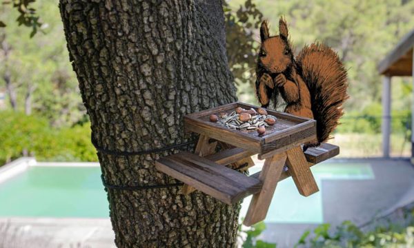 Tuto : Fabriquez une mangeoire façon table de pique-nique pour les écureuils de votre jardin