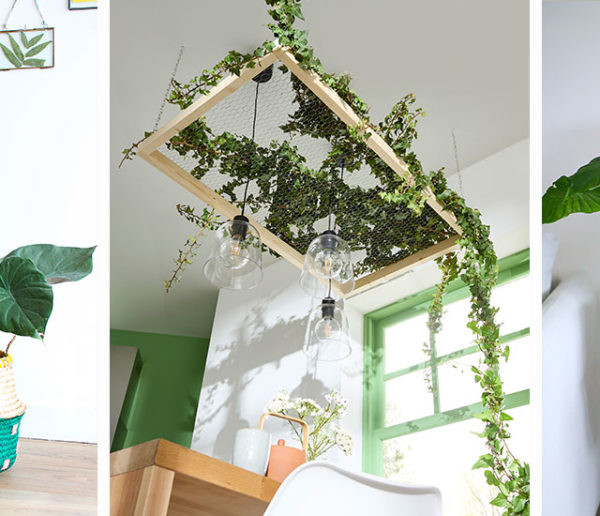 Best-of : 10 tutos faciles pour décorer et végétaliser son intérieur