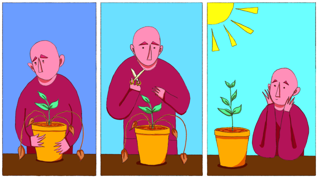 Faites renaître vos plantes grâce à ces gestes simples